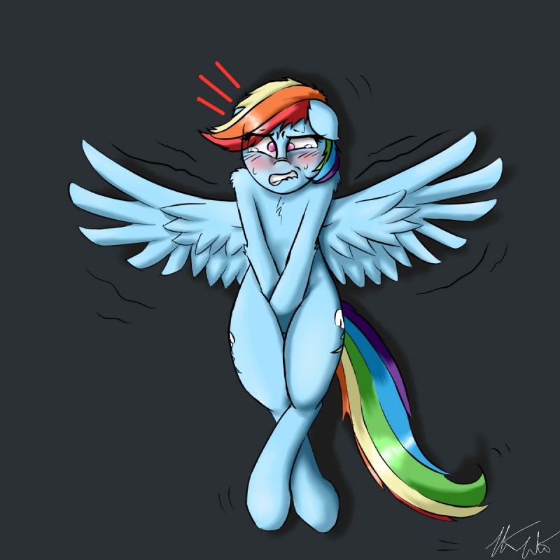 rainbow dash (friendship is magic and etc) created by pudgeruffian