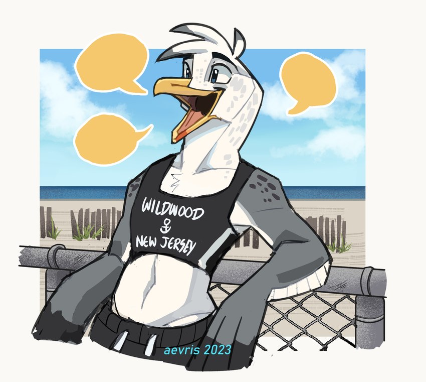 anthro beach beak bra clothed clothing day detailed_background female flat_chested leaning leaning_backward midriff navel open_beak open_mouth outside seaside solo speech_bubble sports_bra text text_on_clothing text_on_topwear topwear underwear aevris avian bird gull lari larid 2023 hi_res