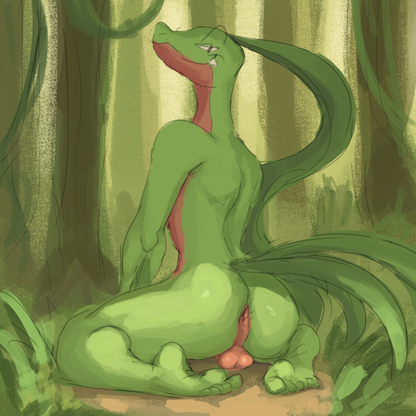 5_toes anthro anus backsack balls bedroom_eyes biped black_eyes butt closed_smile feet forest forest_background genitals glistening glistening_butt grass green_body green_tail leaf leaf_hair leaf_tail looking_at_viewer looking_back looking_back_at_viewer male male_anthro mouth_closed multicolored_body narrowed_eyes nature nature_background nude nude_anthro nude_male plant plant_hair pseudo_hair rear_view red_balls red_body seductive sitting smile solo tail teeth toes tree two_tone_body wariza catnapstar nintendo pokemon generation_3_pokemon grovyle pokemon_(species) 1:1 2023 absurd_res digital_media_(artwork) hi_res