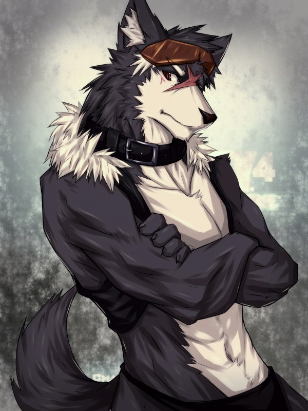 abs anthro biceps big_muscles biped black_clothing black_collar black_shirt black_topwear bottomwear brown_eyes chest_tuft clothed clothing collar eyewear fur fur_trim_(clothing) goggles grey_background grey_body grey_fur hair looking_at_viewer male muscular muscular_anthro muscular_male navel open_clothing open_shirt open_topwear pants pecs pose scar shirt simple_background skimpy small_shirt solo standing tail topwear tuft vest white_body white_fur kiba-wolf canid canine canis domestic_dog husky mammal nordic_sled_dog spitz wolf 2011 3:4 digital_media_(artwork) half-length_portrait hi_res portrait