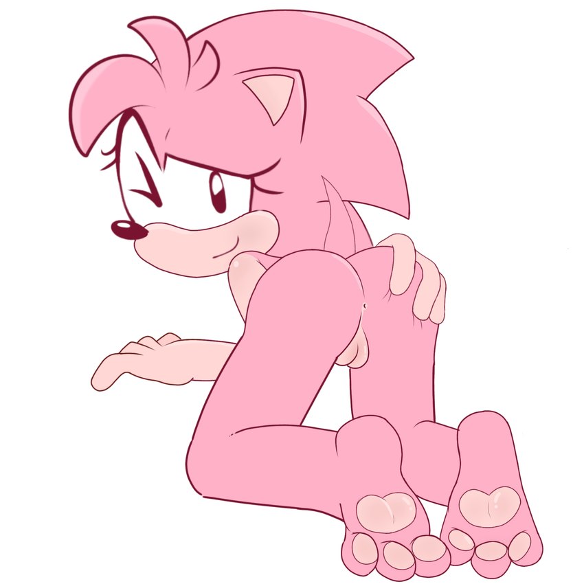 anus butt butt_grab feet female genitals hand_on_butt looking_at_viewer one_eye_closed pawpads presenting presenting_hindquarters pussy smile smiling_at_viewer solo wink winking_at_viewer young rgdrwz classic_sonic_(universe) sega sonic_the_hedgehog_(series) amy_rose classic_amy_rose eulipotyphlan hedgehog mammal 1:1 hi_res