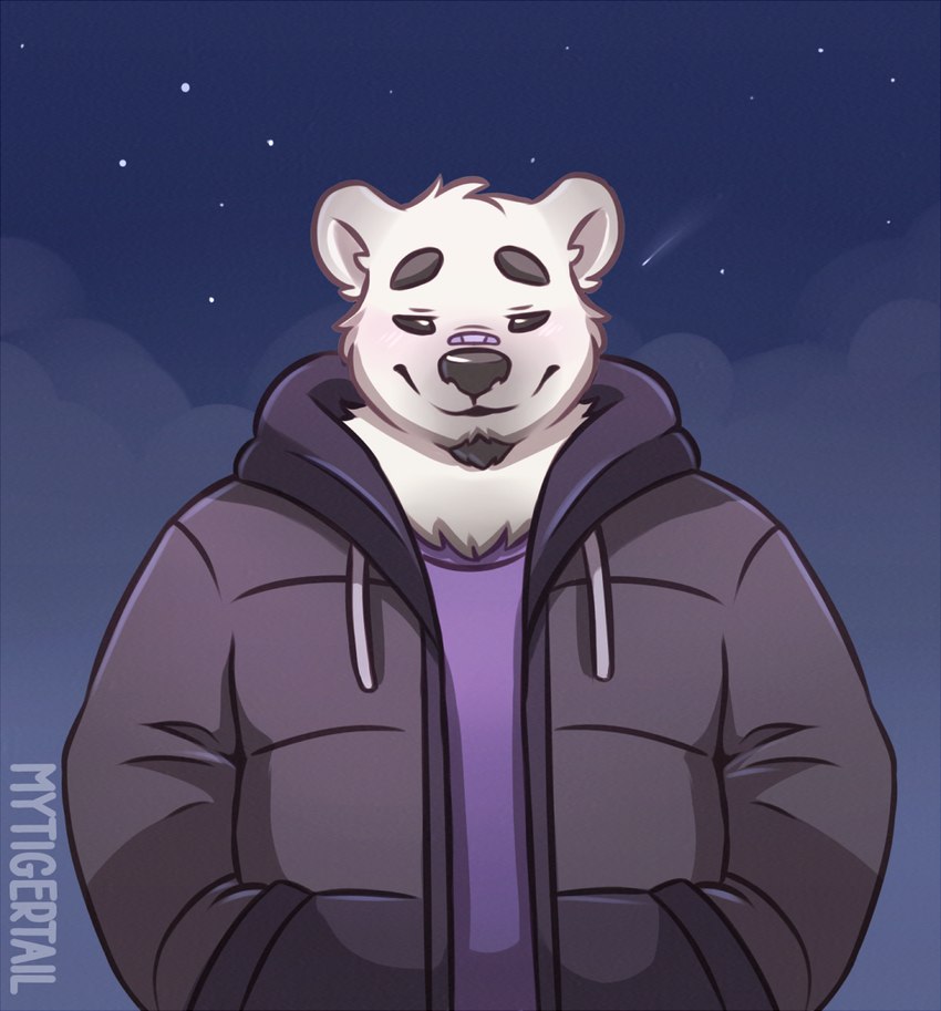 anthro belly big_belly blush clothing cold fur hoodie male night slightly_chubby smile solo sweater topwear mytigertail bear mammal polar_bear ursine digital_media_(artwork)