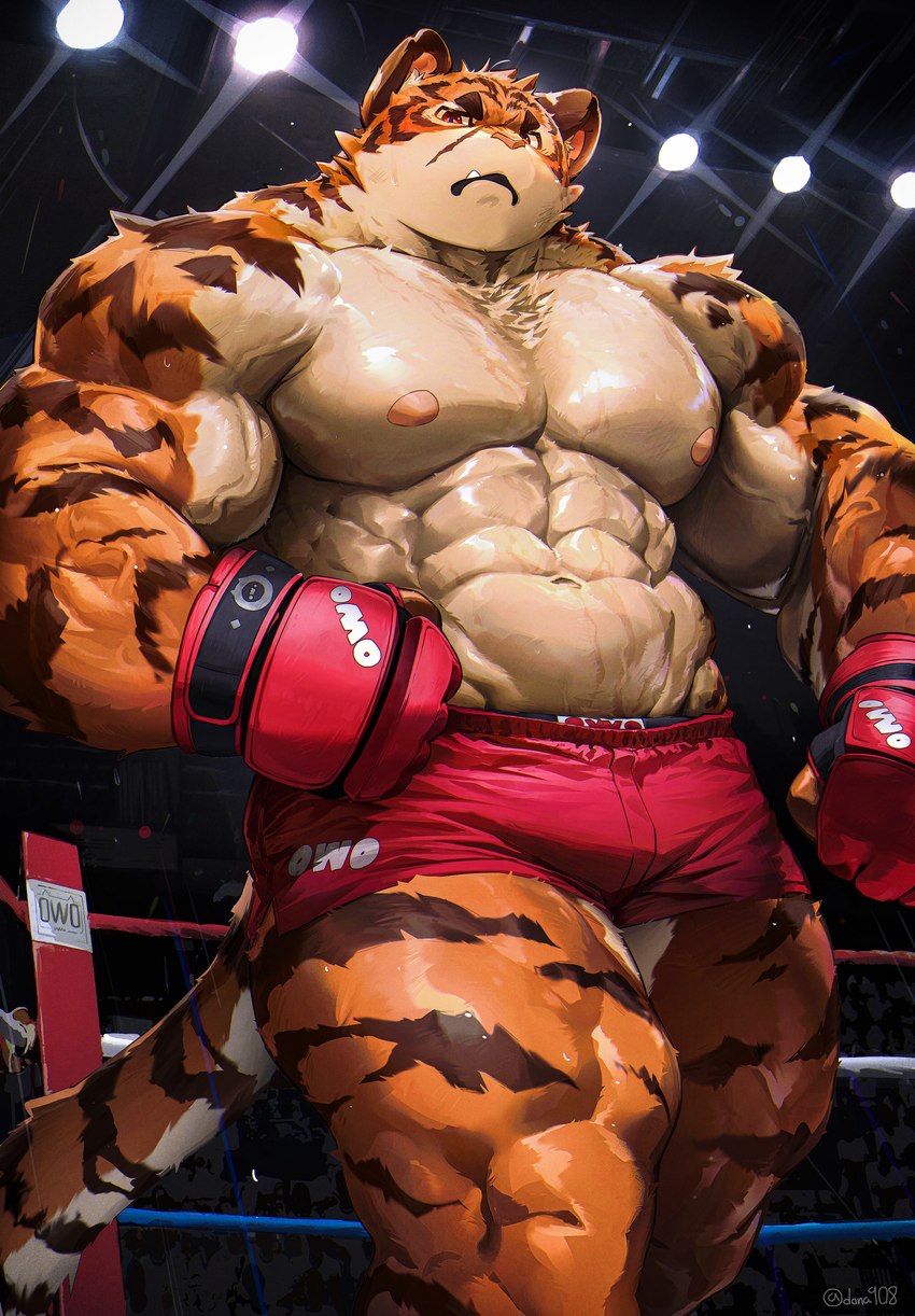 abs anthro biceps big_muscles black_stripes bodily_fluids bottomwear boxers_(clothing) boxing bulge clothing countershading facial_scar fangs fighting_ring fur glistening glistening_body handwear looking_at_viewer male muscular muscular_anthro muscular_male nipples obliques orange_body orange_fur owo pecs quads red_bottomwear red_clothing red_eyes red_shorts scar shorts solo sport stripes sweat teeth underwear vein veiny_muscles dona908 felid mammal pantherine tiger absurd_res hi_res