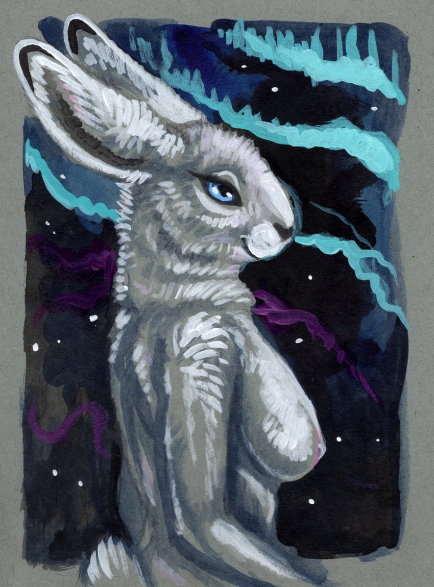 anthro aurora_(phenomenon) blue_eyes breasts female fur grey_body grey_fur looking_away night nipples nude side_boob smile solo cadmiumtea lagomorph leporid mammal rabbit acrylic_painting_(artwork) half-length_portrait hi_res painting_(artwork) portrait traditional_media_(artwork)