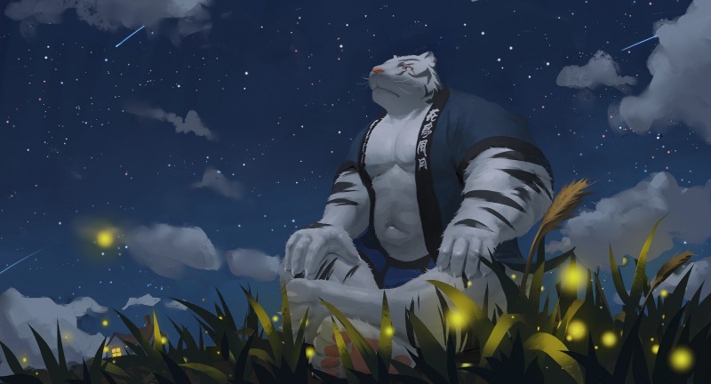 anthro belly biped clothing from_front_position fur humanoid_hands male moobs muscular muscular_anthro muscular_male navel night outside pecs pink_nose robe sitting slightly_chubby solo star white_body white_fur neiiio felid mammal pantherine tiger 2019 hi_res