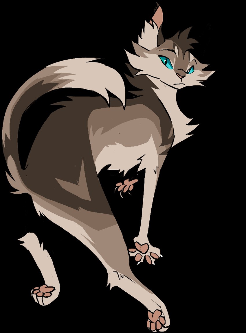 ambiguous_gender blue_eyes brown_body brown_fur claws countershading ear_tuft feet feral fur head_tuft inner_ear_fluff looking_at_viewer looking_back looking_back_at_viewer markings pawpads paws quadruped rear_view simple_background solo tail tan_body tan_countershading text transparent_background tuft nifty-senpai warriors_(book_series) splashtail_(warriors) classic_tabby domestic_cat felid feline felis mammal tabby_cat aliasing alpha_channel character_name digital_media_(artwork) english_text hi_res male_(lore)