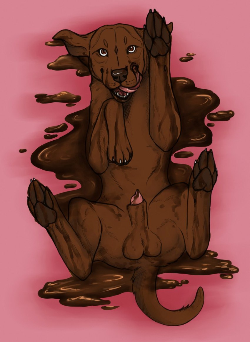 animal_genitalia balls brown_balls brown_body brown_eyes brown_fur brown_nose brown_pawpads brown_sheath candy chocolate chocolate_sauce dessert fangs feral food front_view fur genitals licking licking_lips licking_own_lips looking_at_viewer lying male messy on_back open_mouth pawpads penis penis_tip pink_penis pink_tongue sheath solo teeth tongue tongue_out killthe_demon chocolatelab_(character) canid canine canis domestic_dog mammal hi_res