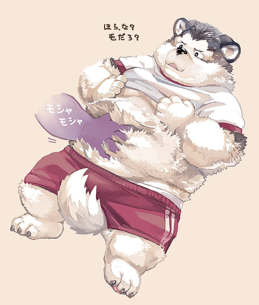 anthro belly black_nose blush bottomwear clothing duo humanoid_hands kemono male overweight overweight_male shirt shorts simple_background solo_focus text topwear nekomarudon tanukimaru alaskan_malamute canid canine canis domestic_dog mammal nordic_sled_dog spitz 2020 digital_media_(artwork) digital_painting_(artwork) japanese_text