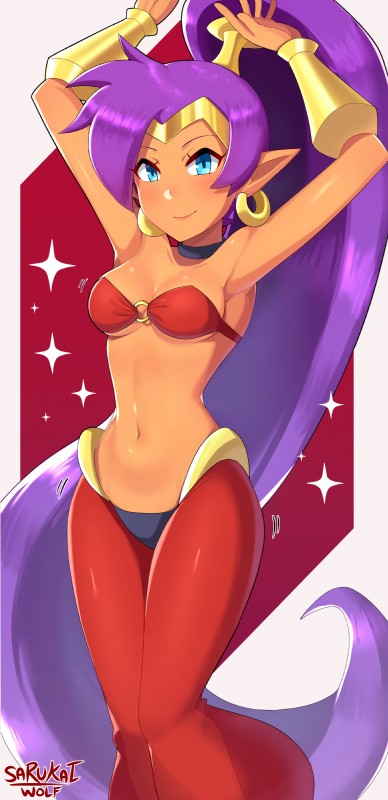 blue_eyes breasts clothed clothing dark_body dark_skin ear_piercing female hair humanoid_pointy_ears jewelry long_hair looking_at_viewer navel not_furry piercing pointy_ears ponytail purple_hair simple_background small_breasts smile solo sarukaiwolf shantae_(series) wayforward shantae genie humanoid mammal 2019 absurd_res hi_res signature