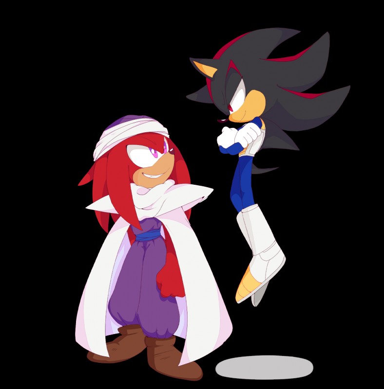 anthro big_eyes big_head cosplay duo male toony zzavok dragon_ball dragon_ball_z sega sonic_the_hedgehog_(series) knuckles_the_echidna piccolo shadow_the_hedgehog vegeta echidna eulipotyphlan hedgehog mammal monotreme 2017 alpha_channel hi_res