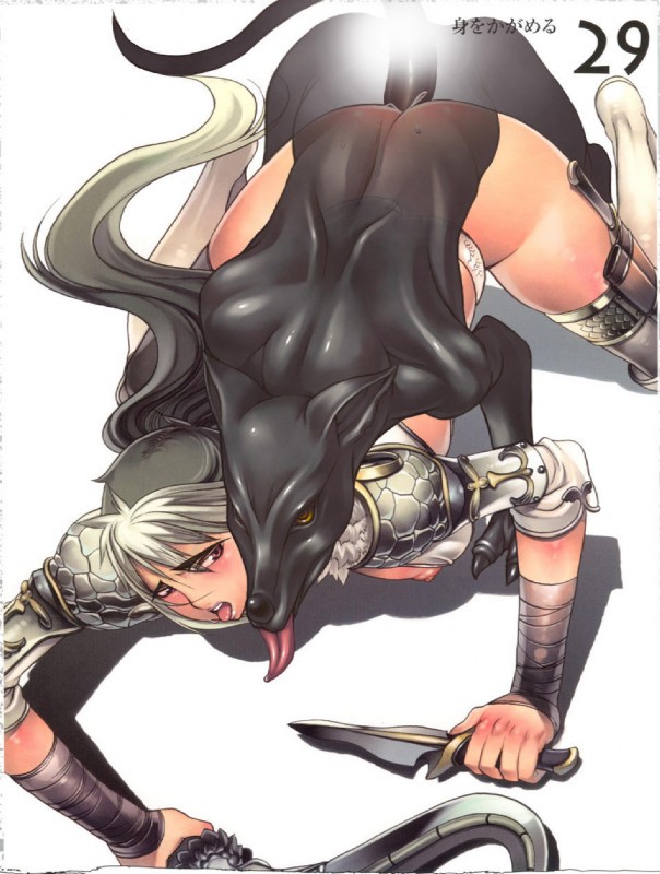 bestiality duo female female_on_feral feral human_on_feral interspecies male male/female male_on_human quadruped sex tail text f.s. queen's_blade echidna_(queen's_blade) canid canine canis domestic_dog human mammal hi_res japanese_text