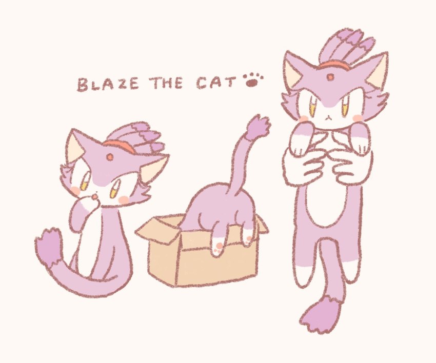 blush box carrying_another container female feral feralized footprint fur hair in_box in_container licking pawpads pawprint paws ponytail purple_body purple_fur simple_background sitting solo text tongue tongue_out white_background yellow_eyes buke3jp sega sonic_the_hedgehog_(series) blaze_the_cat domestic_cat felid feline felis mammal 2021 character_name digital_media_(artwork) english_text