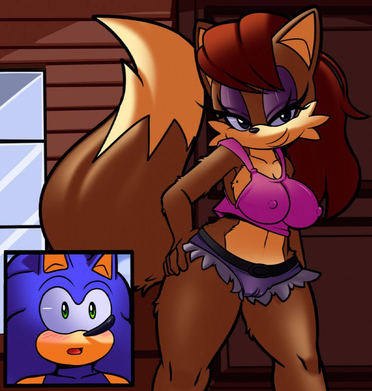 anthro big_breasts blue_body blue_fur blush breasts brown_body brown_fur camel_toe clothed clothing duo female fur green_eyes hair male nipples simple_background vaginal galaxyviolet superbunnygt archie_comics sega sonic_the_hedgehog_(archie) sonic_the_hedgehog_(comics) sonic_the_hedgehog_(series) rosemary_prower sonic_the_hedgehog canid canine eulipotyphlan fox hedgehog mammal 2017 digital_media_(artwork)