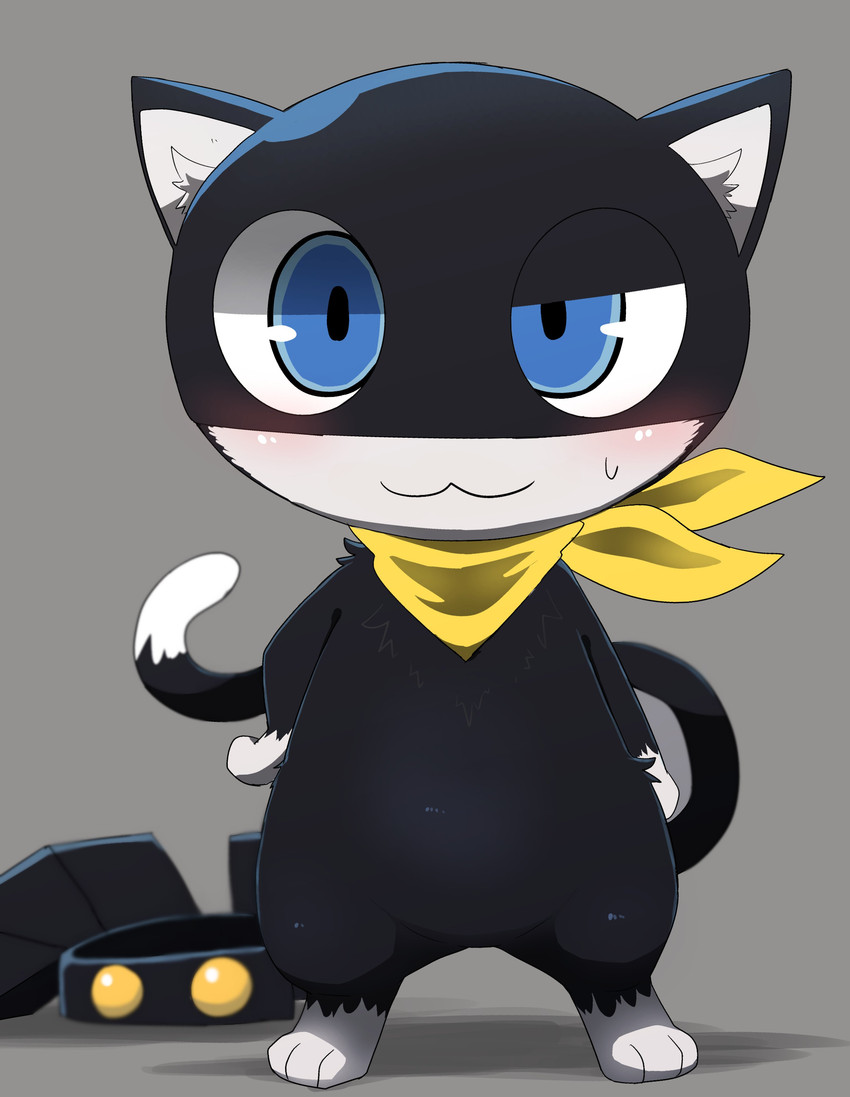 morgana (megami tensei persona and etc) created by dorobo 39