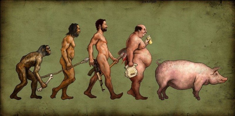 the road to homo sapiens created by unknown artist