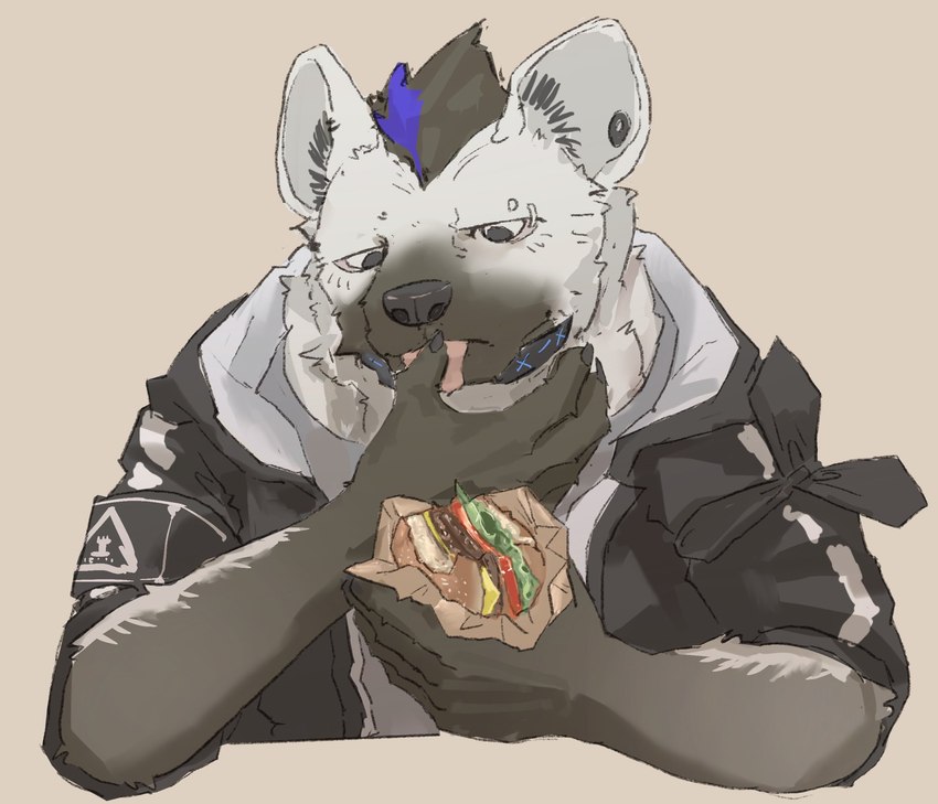 anthro black_body black_fur black_hair blue_hair burger clothing collar ear_piercing eating eating_food eyebrow_piercing facial_piercing food fur grey_body grey_fur hair holding_food holding_object jacket male multicolored_body multicolored_fur multicolored_hair piercing shirt solo t-shirt tongue topwear two_tone_body two_tone_fur two_tone_hair w_a_t_e_r_b_e_d arknights hypergryph studio_montagne spot_(arknights) hyena mammal spotted_hyena 2025 hi_res