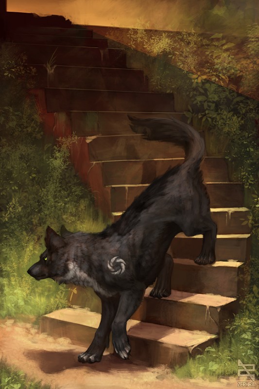 corwolf created by zephra