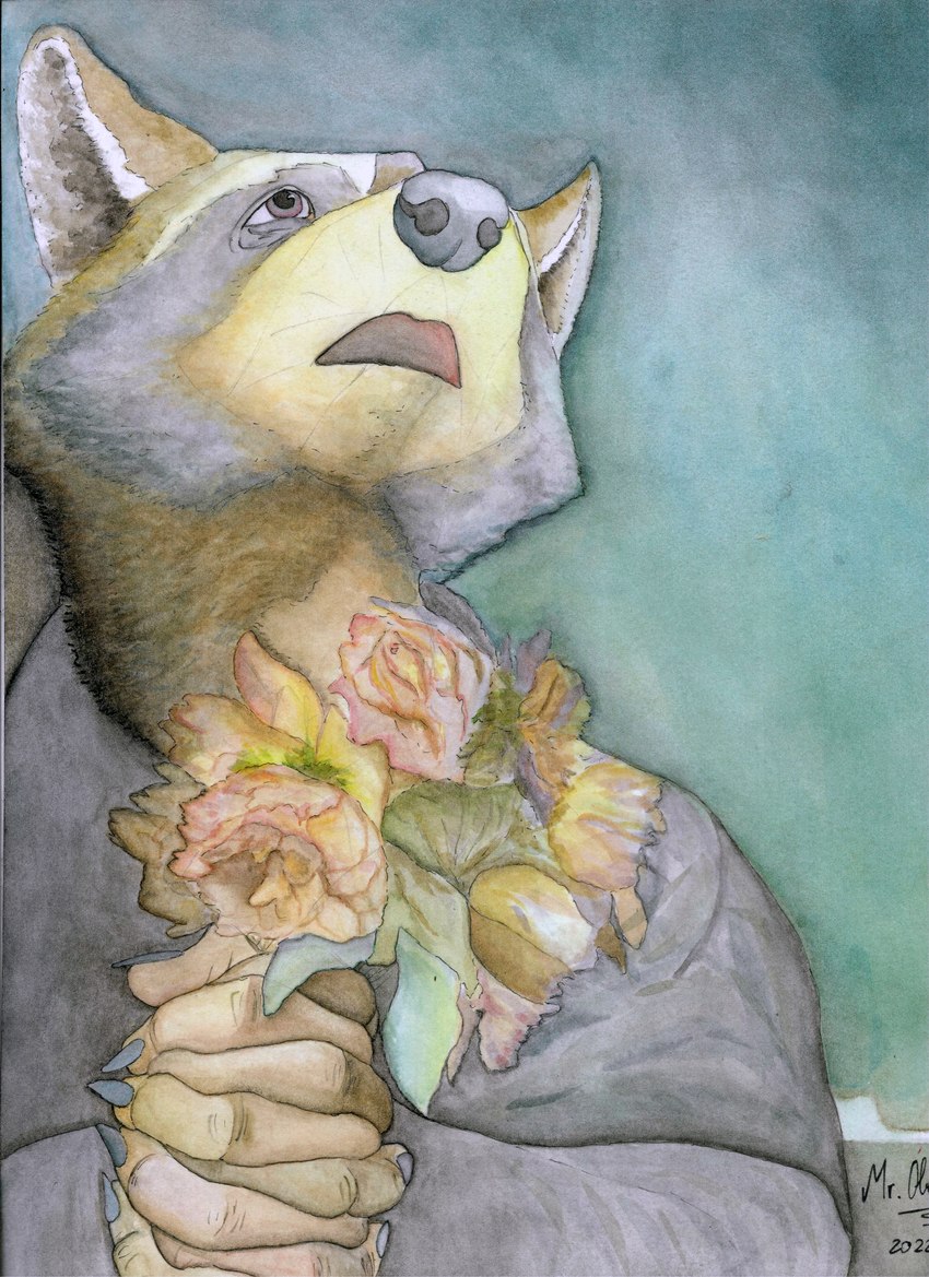 angst anguish bouquet clothing coat flower flower_bouquet hands_crossed plant solo topwear mroleoso crab-eating_raccoon mammal procyonid raccoon absurd_res hi_res painting_(artwork) traditional_media_(artwork) traditional_painting_(artwork) traditional_watercolor_(artwork) watercolor_(artwork)