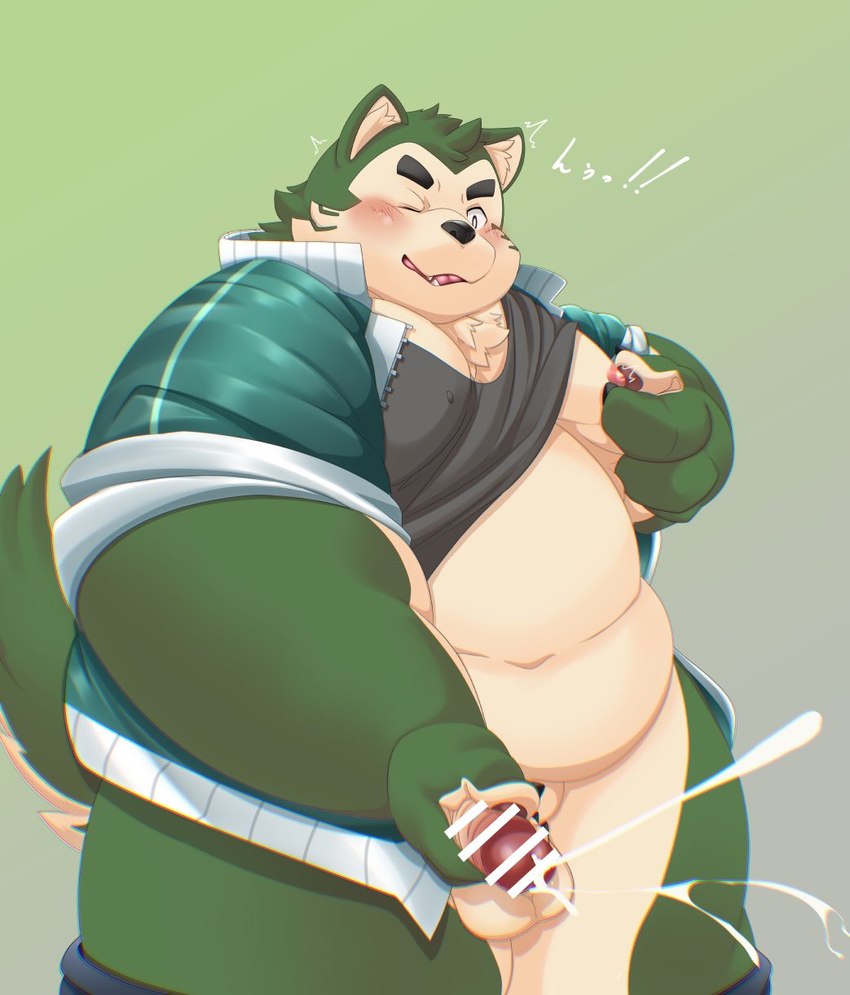 anthro belly big_belly blush bodily_fluids clothed clothing cum ejaculation genital_fluids green_body humanoid_hands kemono male masturbation moobs nipples overweight overweight_male raised_clothing raised_shirt raised_topwear shirt simple_background solo topwear tolsche lifewonders live_a_hero mokdai canid canine canis domestic_dog mammal 2024 censored hi_res