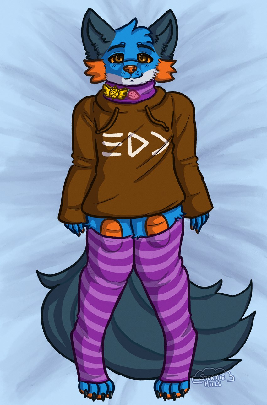 4_toes anthro badge blue_body blue_fur brown_clothing brown_hoodie brown_pupils brown_topwear claws clothing countershade_ears countershading dakimakura eyebrows feet fin food footwear fruit fur head_tuft hoodie legwear looking_at_viewer lying male on_back orange_body orange_eyes orange_gills orange_nose orange_pawpads orange_scales orange_sclera pattern_clothing pattern_legwear pawpads persim_berry persim_scarf pigeon_toed plant pokemon_berry pupils scales sleeves_past_wrists smile smiling_at_viewer smirk smirking_at_viewer socks solo striped_clothing striped_legwear stripes tail tail_fin text thigh_highs toe_claws toeless_footwear toeless_legwear toeless_socks toes topwear tuft stormiehills nintendo pokemon pokemon_mystery_dungeon spike_chunsoft splatoon xevy canid canine canis generation_3_pokemon hybrid mammal pokemon_(species) swampert wolf absurd_res constructed_script dakimakura_design hi_res inkling_text