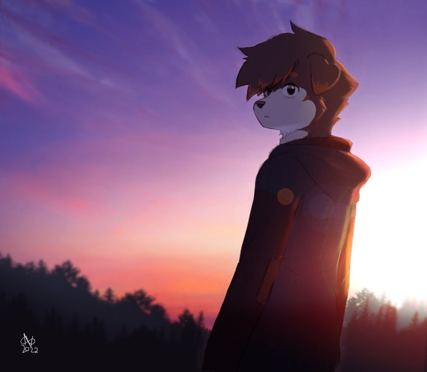 anthro black_nose clothing countershade_face countershading fur grey_body grey_fur hoodie lens_flare looking_back male rear_view sky solo standing sunset topwear 00niine nate_(00niine) canid canine canis domestic_dog mammal 2022 digital_media_(artwork) signature