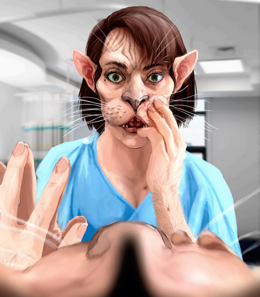 anthro body_modification demi_transformation female first_person_view hairless looking_at_mirror looking_at_object looking_at_reflection mirror shocked snout_grab solo surgical_gown surgical_operation touching_face transformation transformation_pov whiskers usedusername domestic_cat felid feline felis hairless_cat humanoid mammal sphynx_(cat)