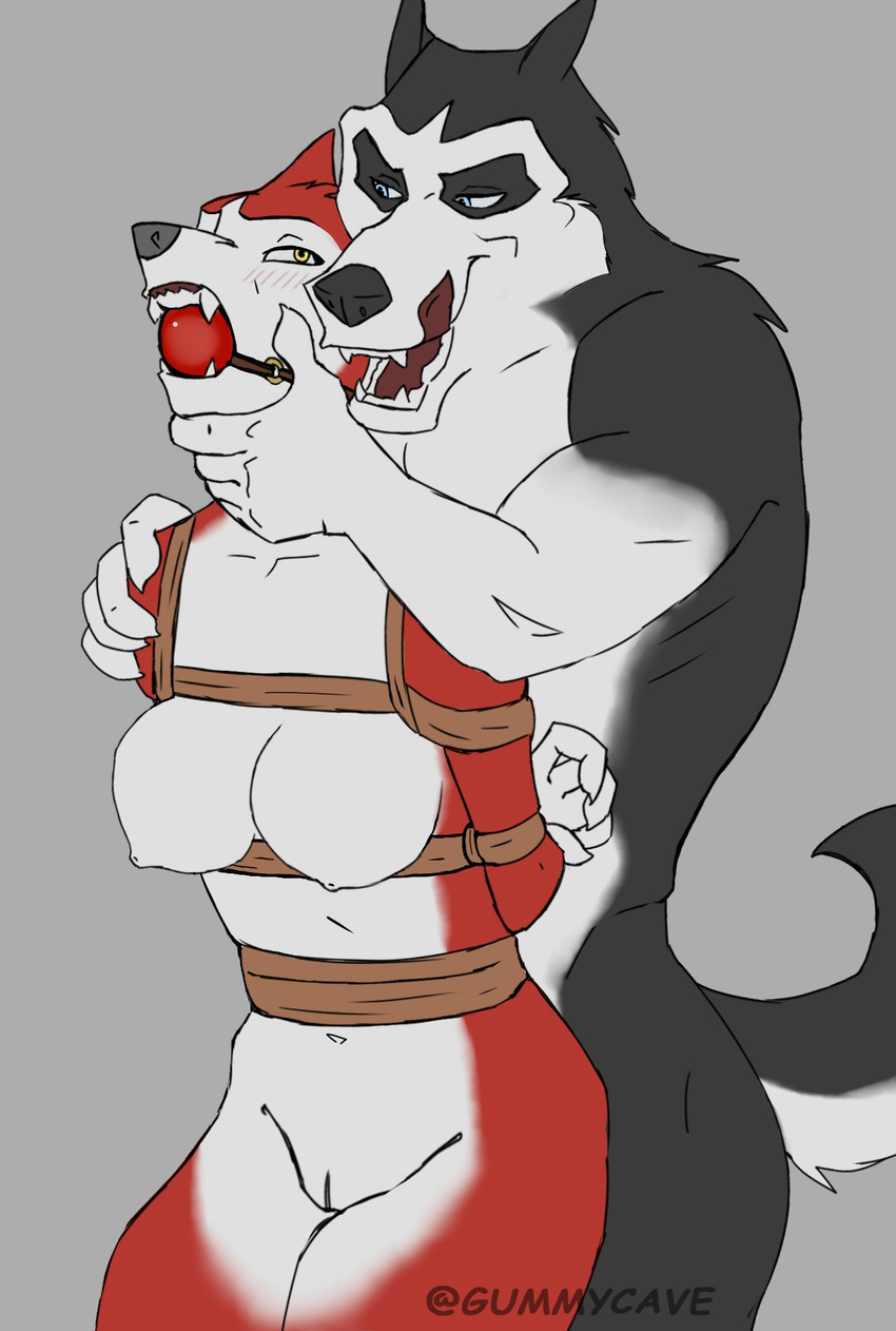 anthro arms_tied ball_gag bdsm bedroom_eyes big_arms big_ball_gag big_breasts black_body black_fur blue_eyes blush bondage bound breasts curvy_figure dominant dominant_male duo eye_contact eyebrows female fur gag genitals hand_on_shoulder hand_under_chin hands_behind_back licking licking_lips looking_at_another looking_pleasured male male/female muscular muscular_male narrowed_eyes navel nipples nude nude_anthro nude_female nude_male open_mouth red_body red_fur rope seductive sharp_teeth simple_background smile teeth tongue tongue_out vulva white_body white_fur yellow_eyes gummycave balto_(series) universal_studios jenna_(balto) steele_(balto) alaskan_malamute canid canine canis domestic_dog husky mammal nordic_sled_dog siberian_husky spitz hi_res
