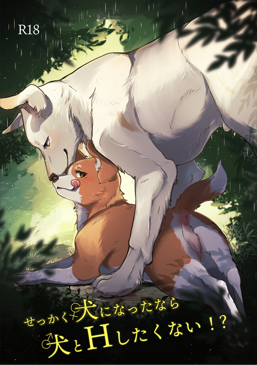 犬 と h