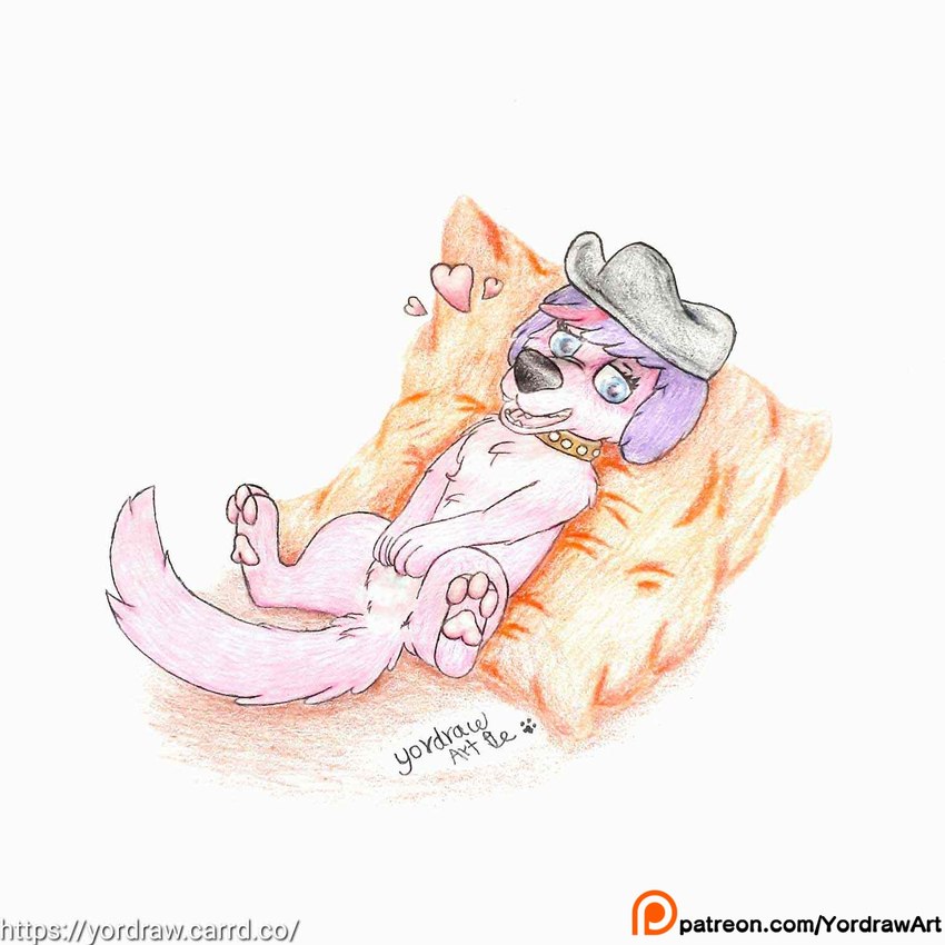 3_toes belly blue_eyes clothing collar feet female feral fur grabbing_belly hat headgear headwear hearts_around_head hindpaw looking_at_viewer patreon_exclusive patreon_logo patreon_username pawpads paws pillow pink_body pink_fur pink_pawpads satisfaction satisfied satisfied_look smile smiling_at_viewer solo spread_legs spreading tail text toes tongue yordraw hasbro littlest_pet_shop littlest_pet_shop_(2012) patreon zoe_trent canid canine canis domestic_dog mammal 1:1 hi_res url