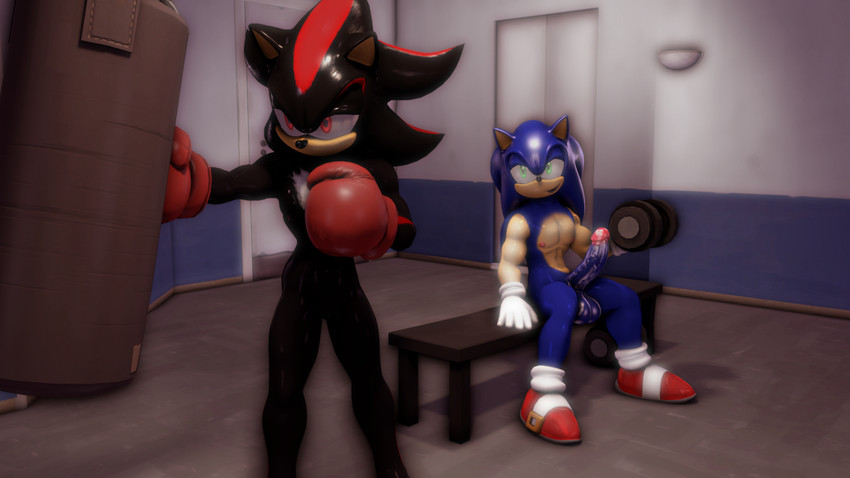 balls boxing_gloves clothing dumbbell duo erection exercise genitals gloves gym handwear male male/male muscular muscular_male penis punching_bag weights workout sonicthebitch sega sonic_the_hedgehog_(series) shadow_the_hedgehog sonic_the_hedgehog eulipotyphlan hedgehog mammal 16:9 3d_(artwork) absurd_res digital_media_(artwork) hi_res source_filmmaker_(artwork) widescreen