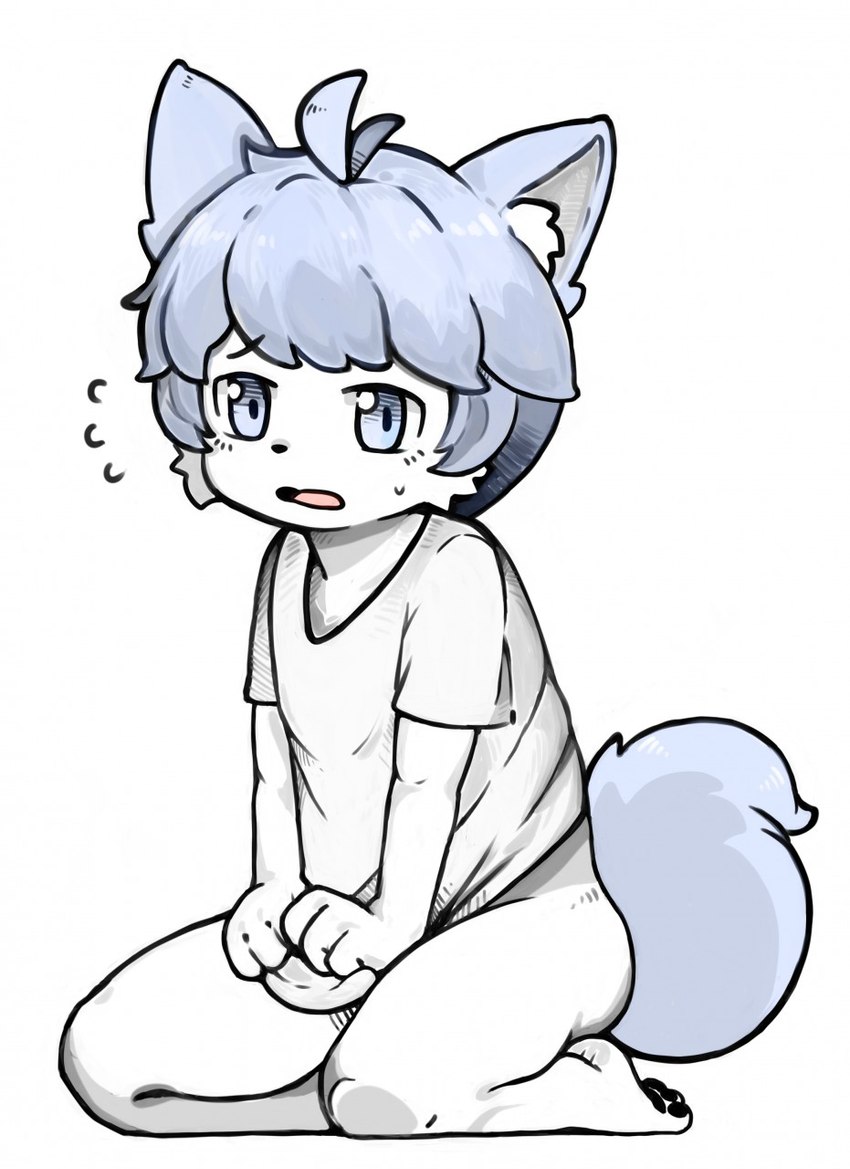 anthro blue_body blue_eyes blue_fur blue_hair blue_tail bodily_fluids bottomless bottomless_male clothed clothing clothing_lift embarrassed feet fur hair kneeling looking_at_viewer male pawpads shirt shirt_lift simple_background solo sweat tail toes topwear white_background white_body white_clothing white_fur white_shirt white_topwear young young_anthro young_male mentha mammal 2018 chinese_description hi_res