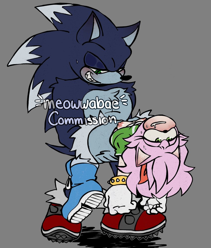 amy rose, classic amy rose, sonic the hedgehog, and sonic the werehog (sonic the hedgehog (series) and etc) created by meowwabae