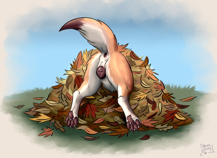 anatomically_correct anatomically_correct_anus anatomically_correct_genitalia anatomically_correct_pussy animal_genitalia animal_pussy anus ass_up brown_pawpads butt canine_genitalia canine_pussy claws dipstick_tail feet female feral fur genitals leaf leaf_pile markings outside pawpads paws presenting presenting_anus presenting_hindquarters presenting_pussy pussy quadruped raised_tail sky solo tail tail_anus tail_markings tan_body tan_fur text toe_claws toes white_body white_fur muskydusky canid canine canis mammal wolf 2023 artist_name english_text hi_res signature