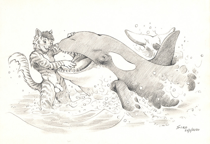 anthro duo feral fur male nude open_mouth striped_body striped_fur stripes tail teeth tongue scale_(artist) cetacean dolphin felid feline mammal marine oceanic_dolphin orca toothed_whale 2020 graphite_(artwork) monochrome traditional_media_(artwork)