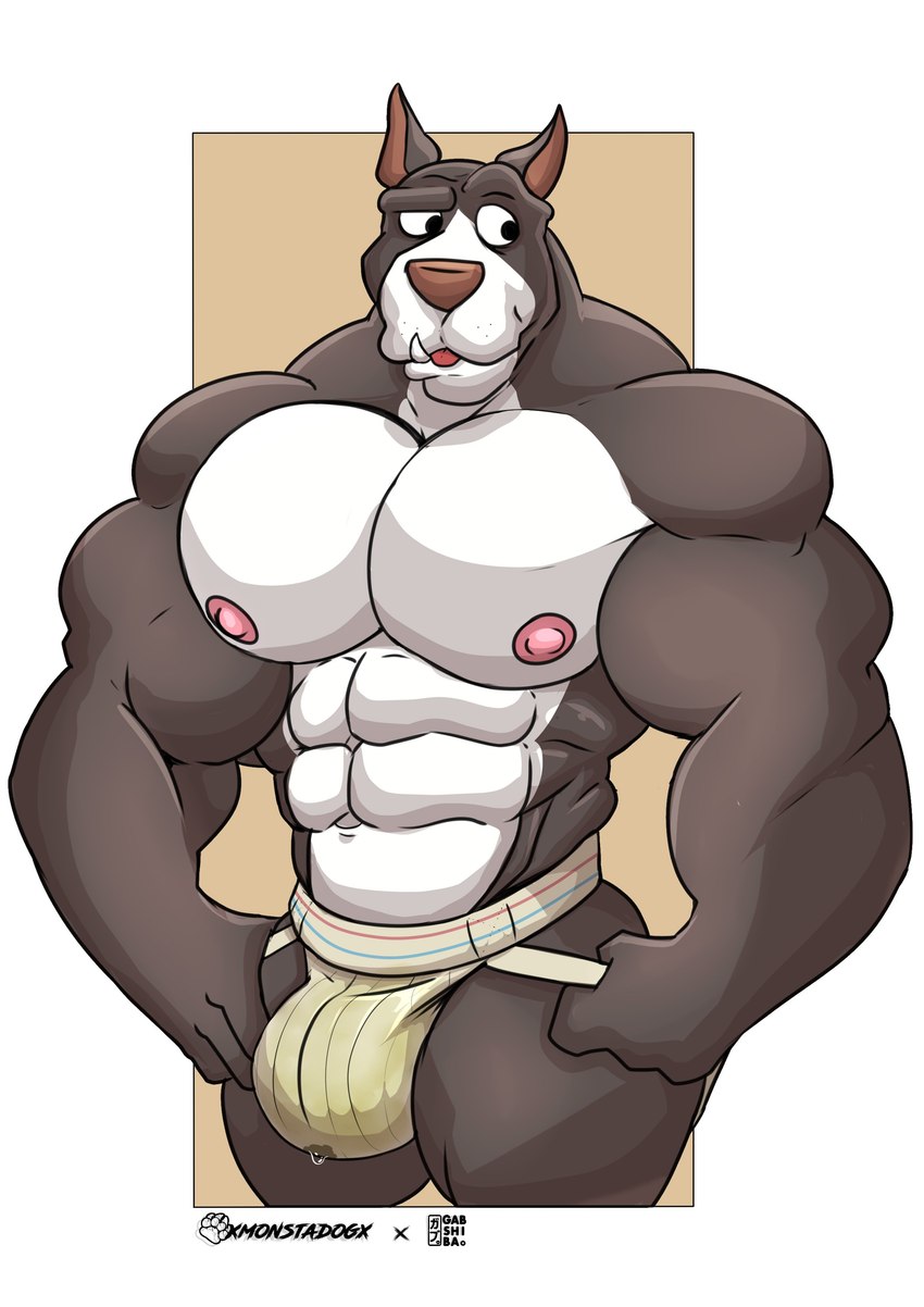 abs anthro big_biceps big_bulge big_muscles big_pecs bodily_fluids brown_body brown_fur bulge clothed clothing deltoids fangs fur genital_fluids huge_muscles jockstrap jockstrap_only male multicolored_body multicolored_fur muscular muscular_anthro muscular_male navel nipples pecs pink_nipples pink_nose precum precum_through_clothing precum_through_jockstrap precum_through_underwear simple_background solo teeth thick_thighs topless two_tone_body two_tone_fur underwear underwear_only wet wet_clothing white_body white_fur monstadog gab_(comic) ruff_bull canid canine canis domestic_dog mammal pit_bull absurd_res hi_res