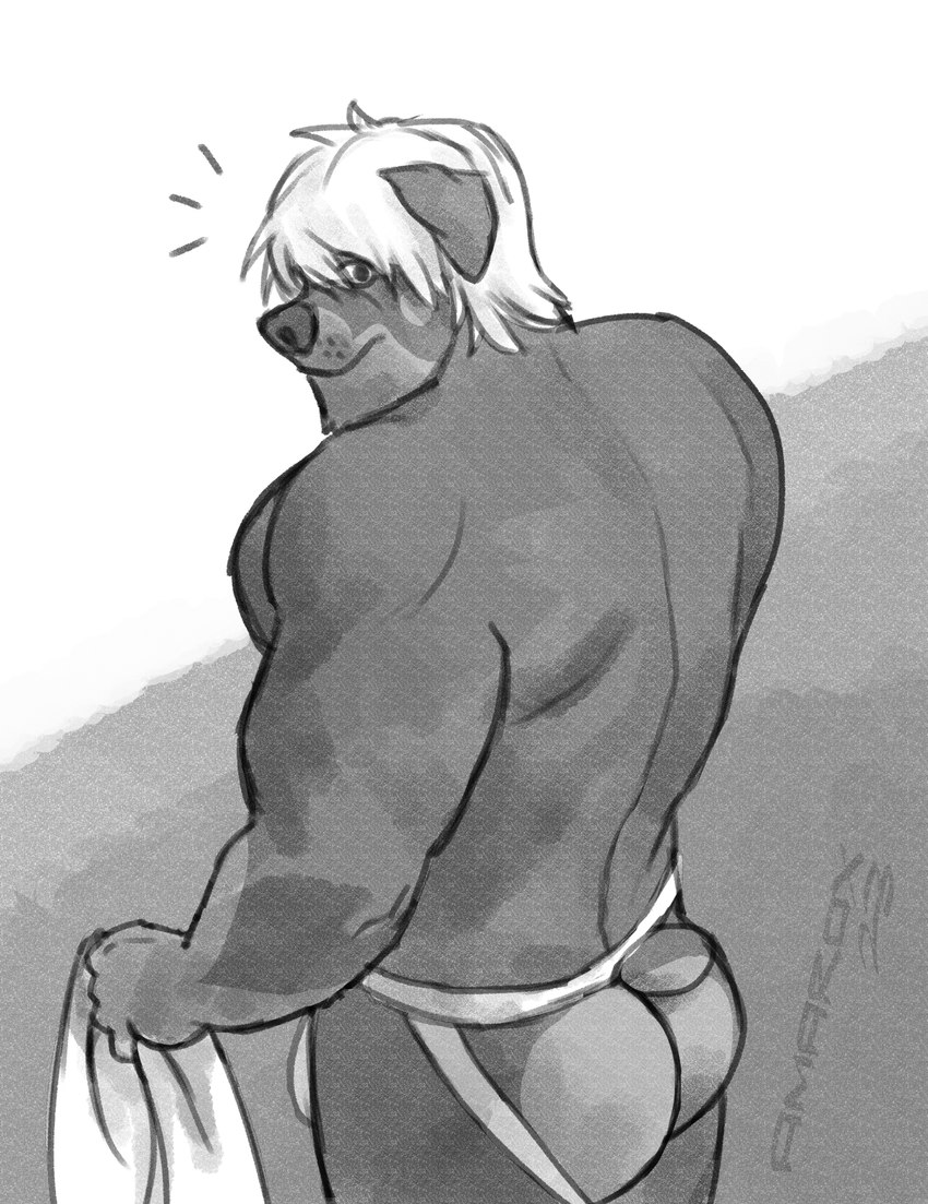 anthro blonde_hair butt clothing hair holding_object holding_towel jockstrap looking_at_viewer male muscular muscular_male solo standing towel underwear amarox chester_(amarox) canid canine canis domestic_dog mammal mastiff molosser rottweiler absurd_res digital_drawing_(artwork) digital_media_(artwork) hi_res monochrome