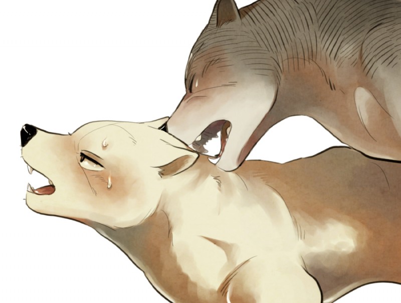 ambiguous_gender bite bodily_fluids duo eyes_closed feral male male/male open_mouth suggestive sweat teeth unknown_artist ginga_(series) akame_(ginga) gin_(ginga) canid canine canis domestic_dog mammal