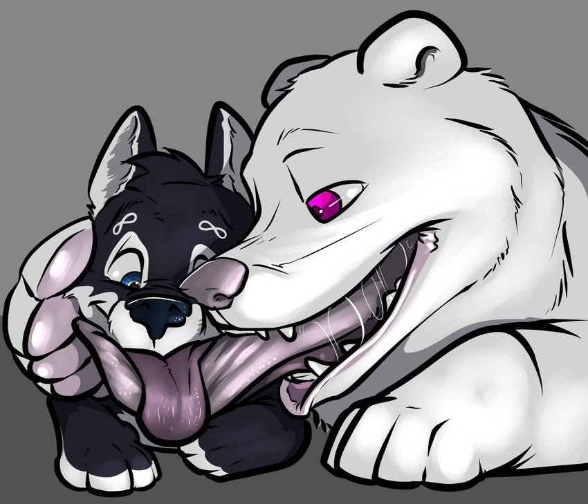 duo feral infinity_symbol kissing licking shice symbol tongue tongue_out akudrache infinite wolfywetfurr alaskan_malamute bear canid canine canis domestic_dog mammal nordic_sled_dog polar_bear spitz ursine