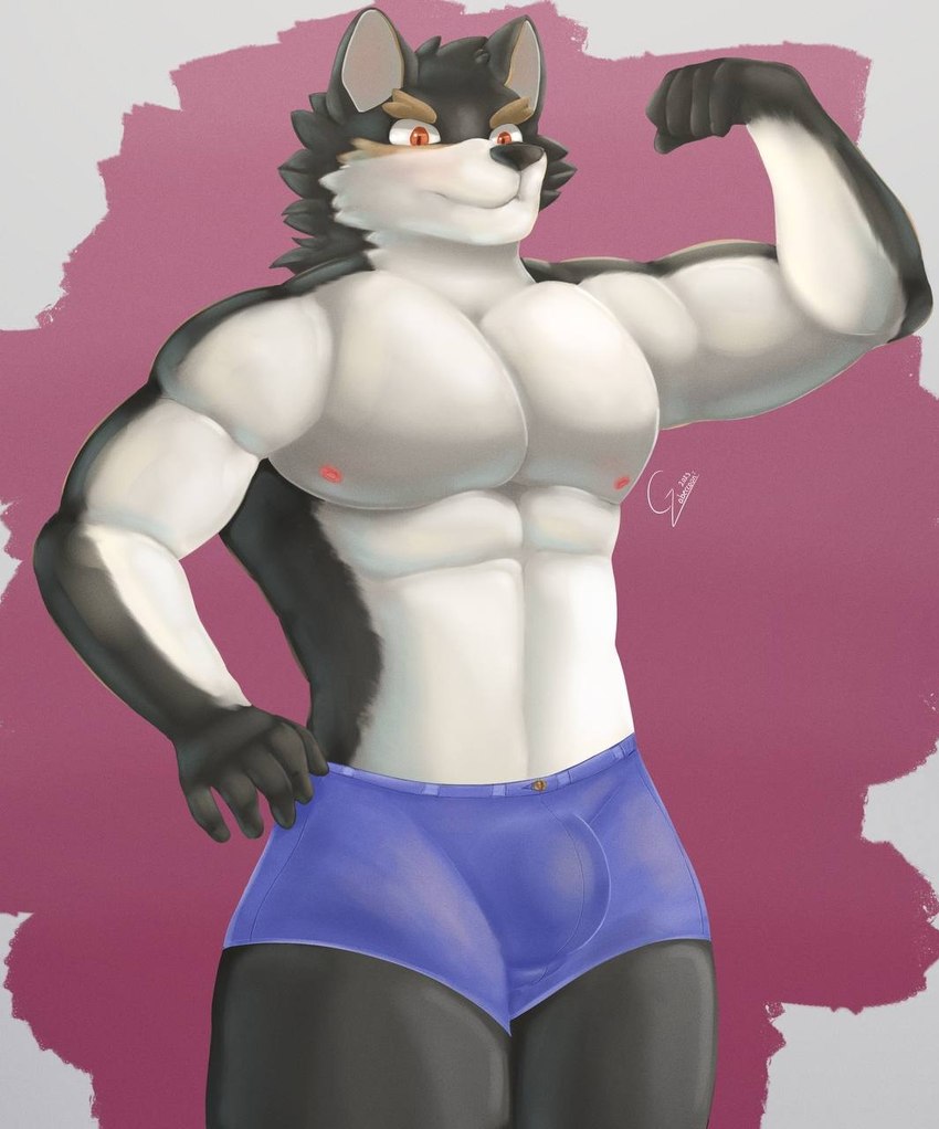 anthro male muscular muscular_male solo gabeccoon knights_college oscar_lawrence canid canine canis mammal wolf hi_res