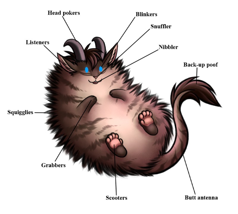 5_toes ambiguous_gender anatomy blue_eyes brown_body brown_fur brown_hair feet feral fluffy fur hair hindpaw horn humor looking_at_viewer open_mouth paws poof simple_background smile solo text toes white_background conditional_dnp ratte legacy_(ratte) theta_(ratte) mammal ratteguhn temperate_rainforest_ratteguhn 2016 biological_illustration digital_media_(artwork) english_text technical_illustration