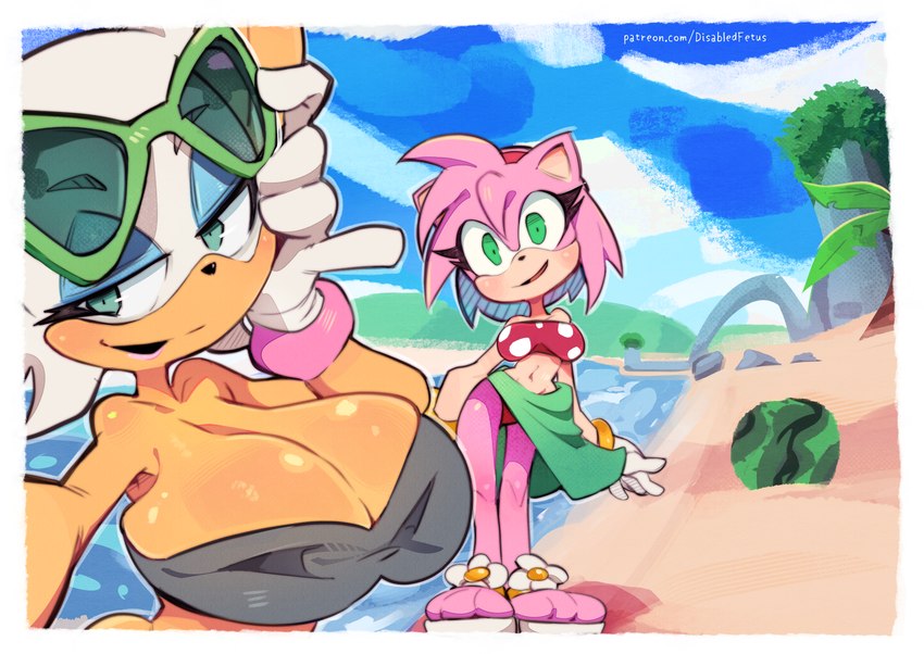 amy rose and rouge the bat (sonic the hedgehog (series) and etc) created by disabledfetus