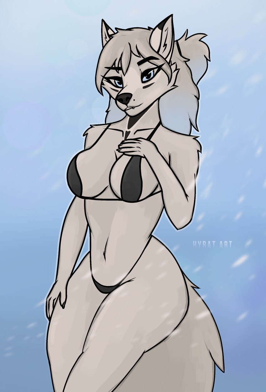 anthro bikini bikini_bottom bikini_top blue_eyes clothing female snow solo swimwear two-piece_swimsuit hyrat canid canine canis mammal wolf absurd_res hi_res