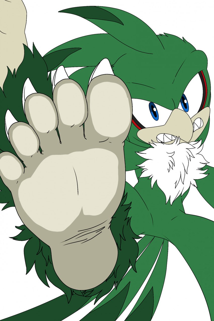 5_toes against_surface anthro breaking_the_fourth_wall claws feet first_person_view foot_focus foot_on_glass humanoid_feet looking_at_viewer male on_glass plantigrade soles solo toe_claws toes foot_ninja15 sega sonic_riders sonic_the_hedgehog_(series) jet_the_hawk jet_the_werehawk accipitrid accipitriform avian bird hybrid were hi_res