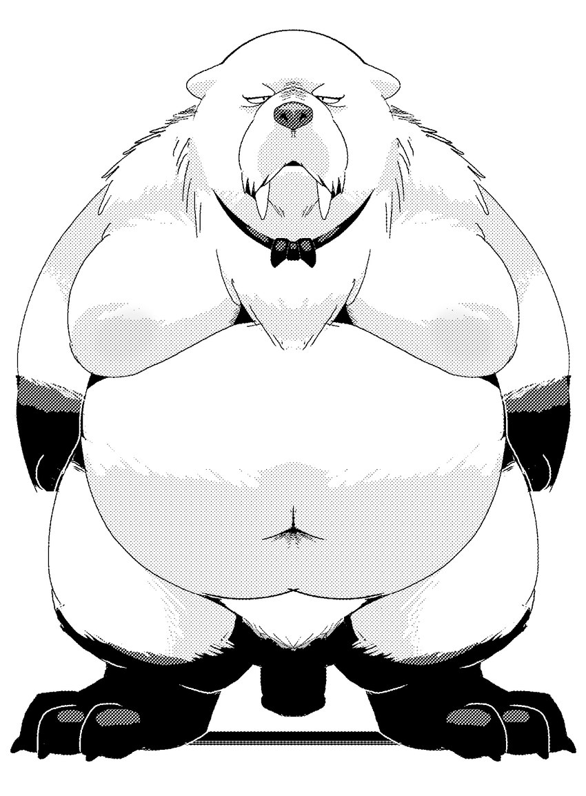 anthro belly big_belly bow_tie genitals kemono male moobs navel nipples overweight overweight_male penis simple_background solo sigenoya takotyutyu spy_x_family bond_(spy_x_family) canid canine canis domestic_dog mammal 2024 hi_res monochrome