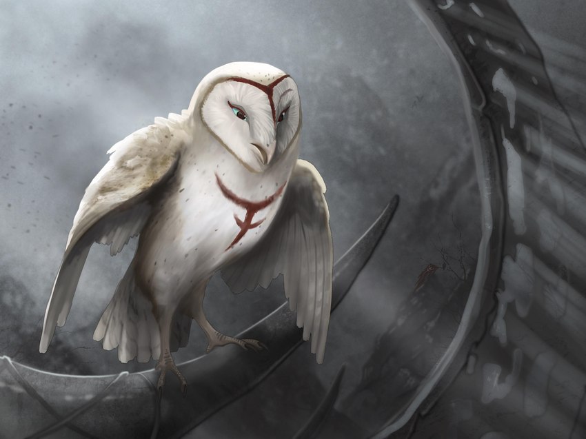 ambiguous_gender blue_eyes feathers feet feral markings scar solo talons toes white_body white_feathers senecar0cks guardians_of_ga'hoole nyra_(gogh) avian barn_owl bird owl tyto tytonid hi_res female_(lore)