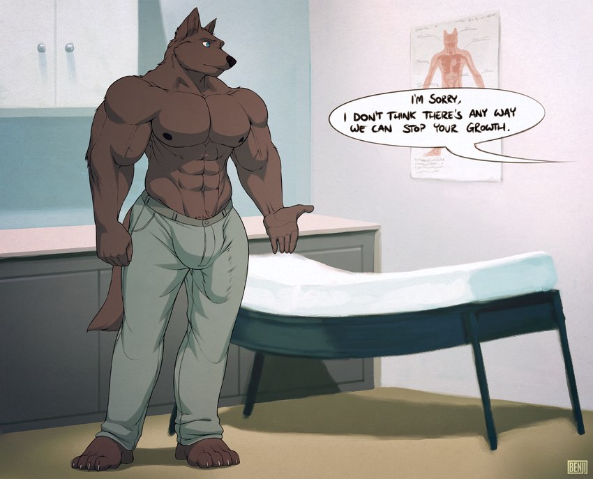 anatomical_diagram anthro barefoot bed big_muscles black_nipples black_nose blue_eyes bottomwear brown_body brown_fur bulge clothed clothing cupboard doctor's_office feet fur furniture male muscular muscular_male nipples pants pants_only poster solo speech_bubble text topless bng arrow_(arrowt) canid canine canis mammal wolf 2013 english_text hi_res