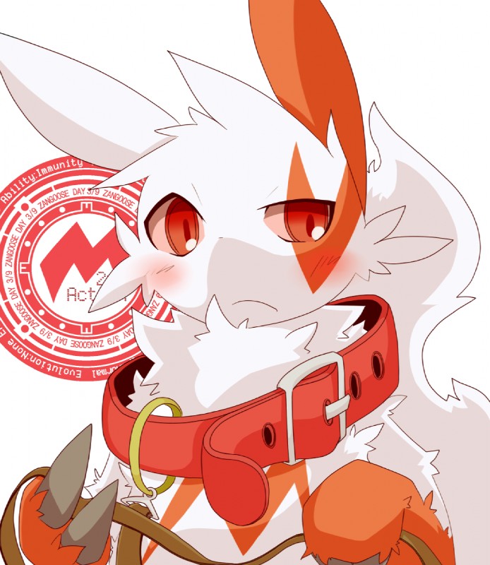 ambiguous_gender blush collar feral fur leash markings red_markings semi-anthro simple_background solo tail text white_body white_fur shin_(artist) nintendo pokemon zangoose_day generation_3_pokemon pokemon_(species) zangoose english_text