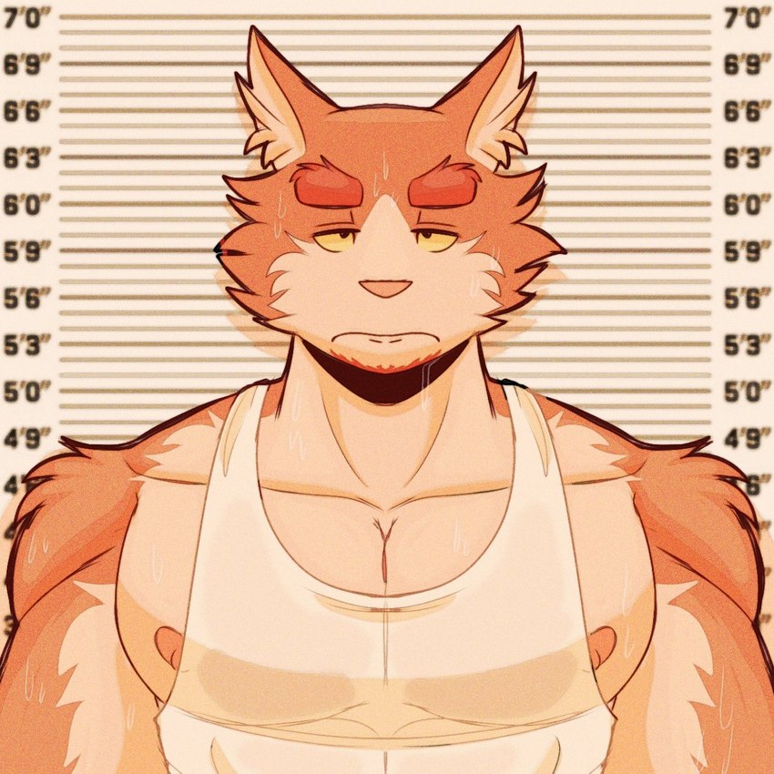 anthro arrested chart chin_tuft clothed clothing eyebrows facial_tuft facing_forward front_view frown frowning_at_viewer fur half-closed_eyes height height_chart jail_placard looking_at_viewer male mugshot multicolored_body multicolored_fur muscular muscular_anthro muscular_male narrowed_eyes nipples orange_body orange_fur pecs photo pink_nipples pink_nose police_station prison shirt solo tank_top thick_eyebrows topwear tuft white_body white_clothing white_fur white_shirt white_tank_top white_topwear yellow_eyes wilsondoggo64 domestic_cat felid feline felis mammal 1:1 2023 colored hi_res