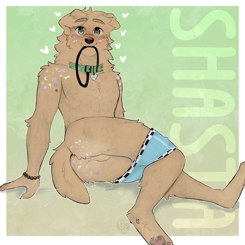 anthro anus backsack balls blush bracelet butt clothing clothing_around_legs collar collar_tag cute_fangs dyed_fur fangs floppy_ears freckles fur genitals green_eyes heart_collar_tag heart_pupils heart_symbol jewelry leash leash_in_mouth male object_in_mouth pawpads slim_male smile solo sticker stickers_on_body tail tail_anus tail_motion tailwag teeth underwear underwear_around_legs yellow_body yellow_fur cerberussenn shasta_chirmann_(cerberussenn) bird_dog canid canine canis domestic_dog hunting_dog labrador mammal retriever 1:1 absurd_res hi_res