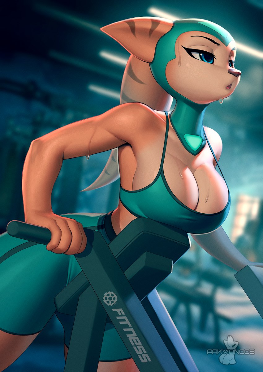 anthro big_breasts blue_eyes bodily_fluids bottomwear bra breasts clothing exercise eyebrows eyelashes female fur headgear headwear inside open_mouth shorts solo sports_bra strap_gap stripes sweat topwear underwear workout yellow_body yellow_fur pakwan008 ratchet_and_clank sony_corporation sony_interactive_entertainment angela_cross lombax mammal 2024 hi_res